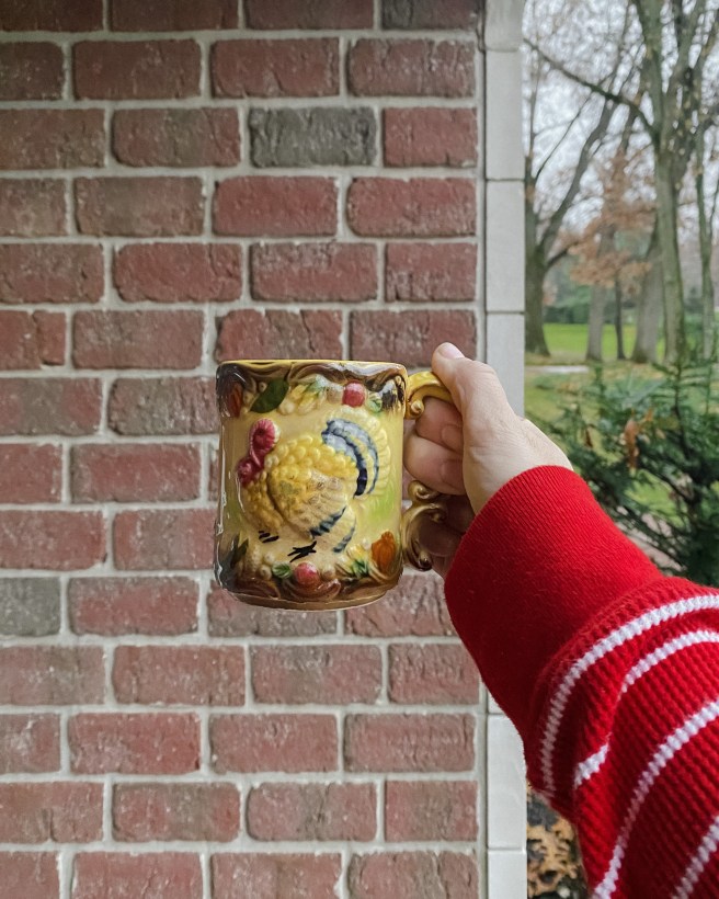 Favorite Thanksgiving Picture&nbsp;Books.